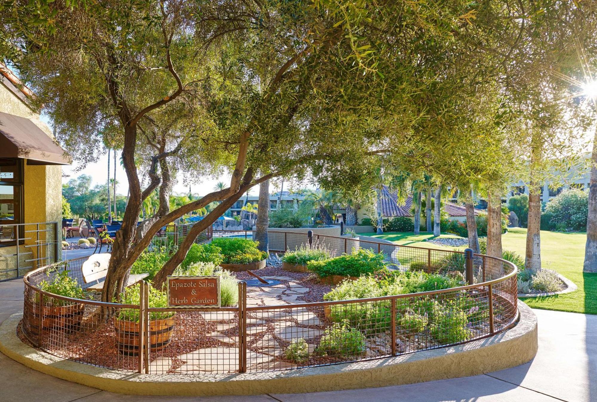 El Conquistador Tucson, A Hilton Resort Oro Valley Exteriör bild